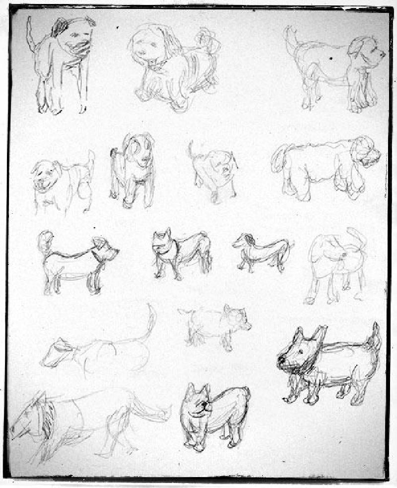 Featured image of post Dog Days of Spring?