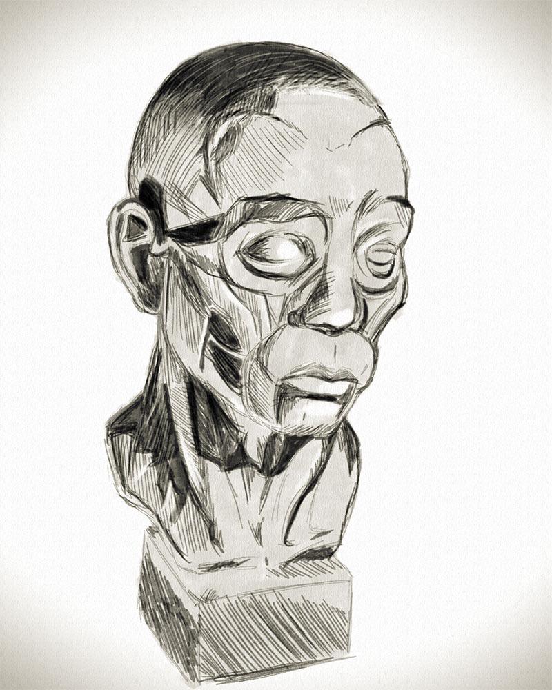 Featured image of post Let’s Get Plastered