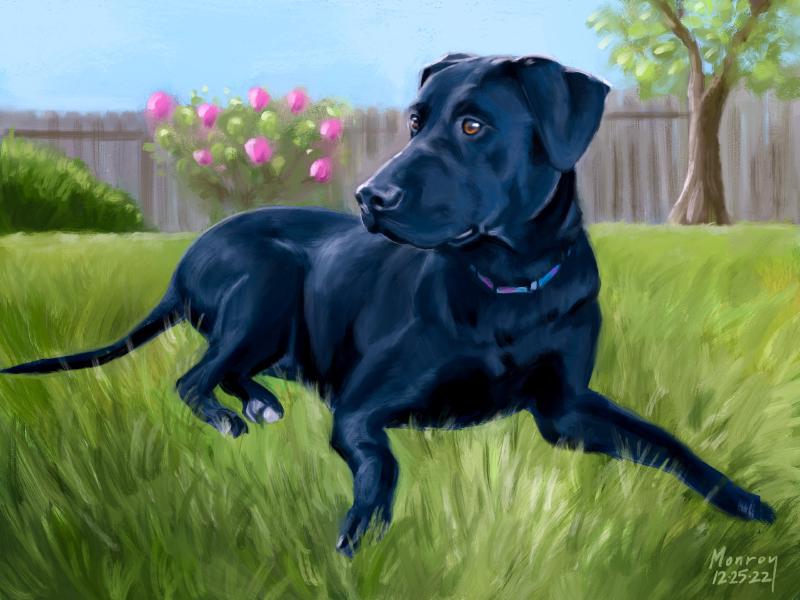 Featured image of post Liberty Liberty Liberty