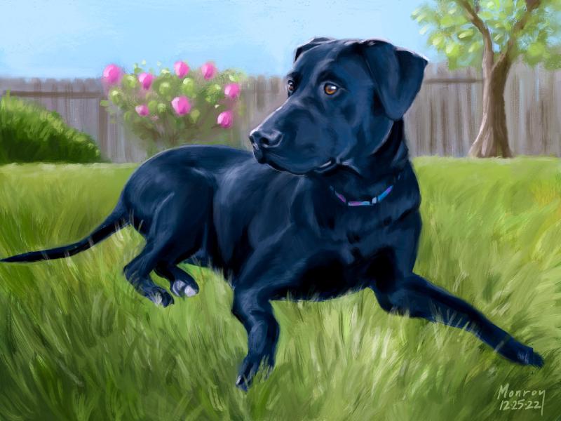 Featured image of post Liberty Liberty Liberty