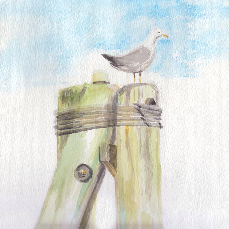 Featured image of post Mark has a gull friend