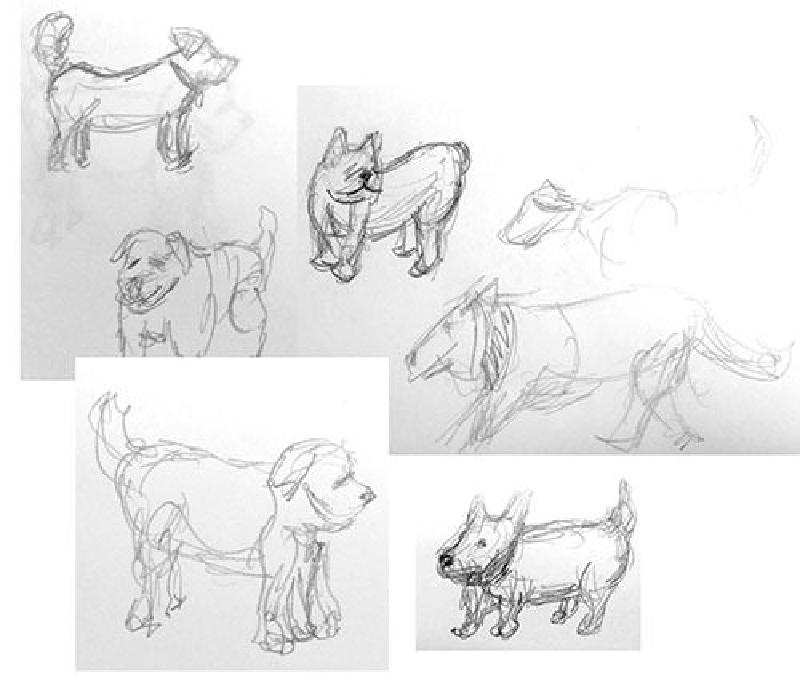 Featured image of post Sup Dogs?