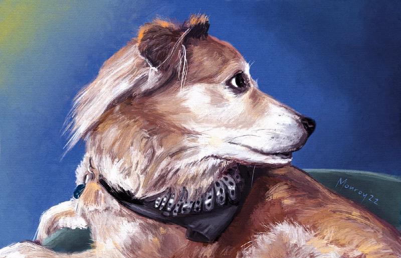 Featured image of post The Bark Stops Here