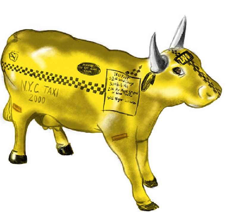 Featured image of post Training Hooves