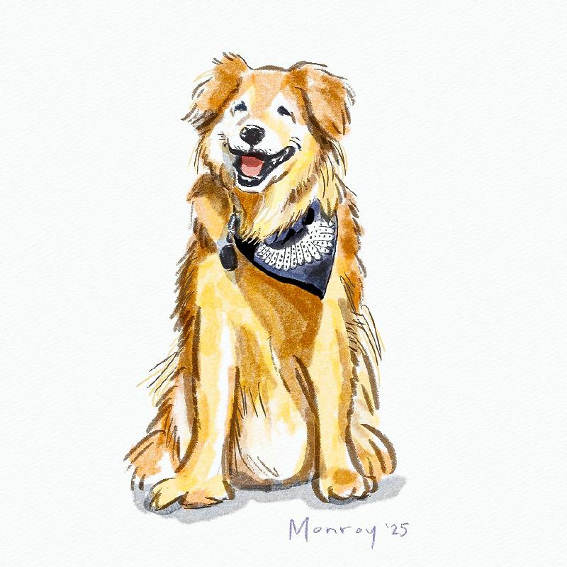 Featured image of post Tru Friend